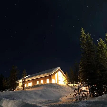 Th2027- Spacious Mountain In Trysilfjell With Sauna Trysil